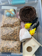 Load image into Gallery viewer, BIRD